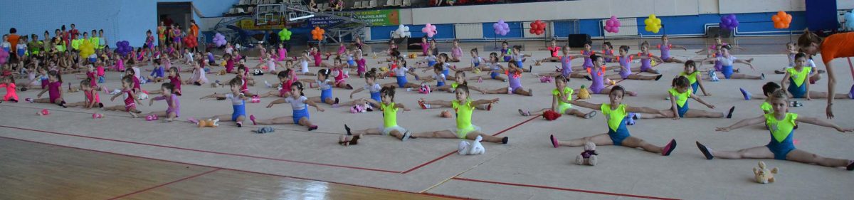 Revija-ritmicke-gimnastike-Ritam-Beogradu-2
