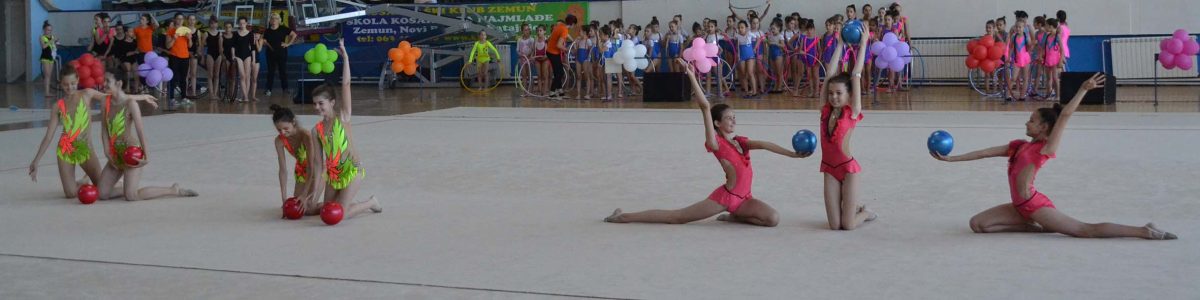 Revija-ritmicke-gimnastike-Ritam-Beogradu-21
